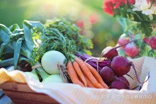 农产品供应链模式有哪些？农产品供应链方案模板大全