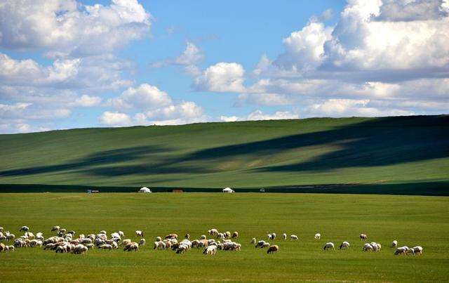 伊利创始人是谁？伊利创始人创业经历和个人简介