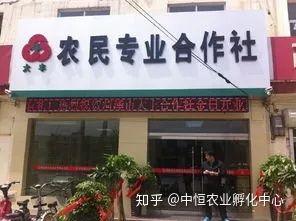 农产品供应链模式有哪些？农产品供应链方案模板大全