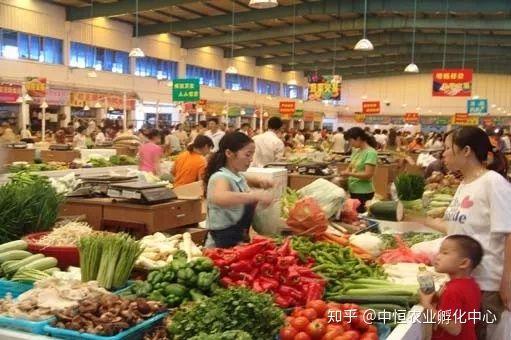 农产品供应链模式有哪些？农产品供应链方案模板大全
