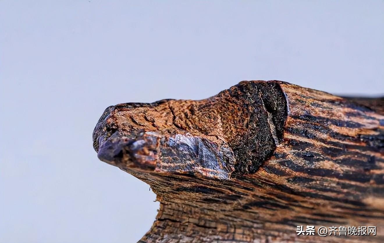 支持专柜验货是什么意思？专柜验货和app验货的区别