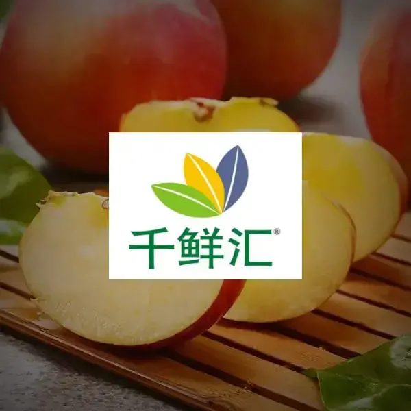 千鲜汇加盟需要什么条件？水果加盟店十大品牌排行榜