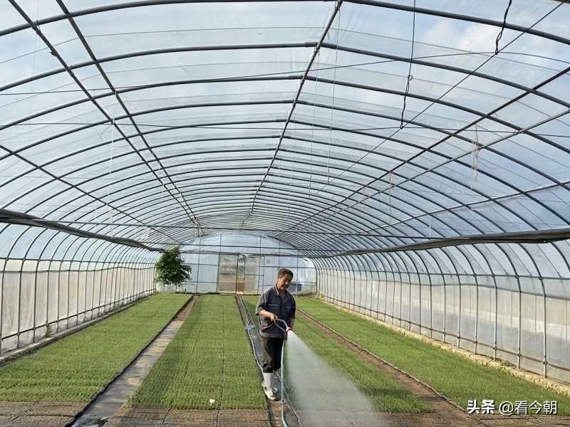 沱沱工社是干什么的?平谷沱沱工社简介
