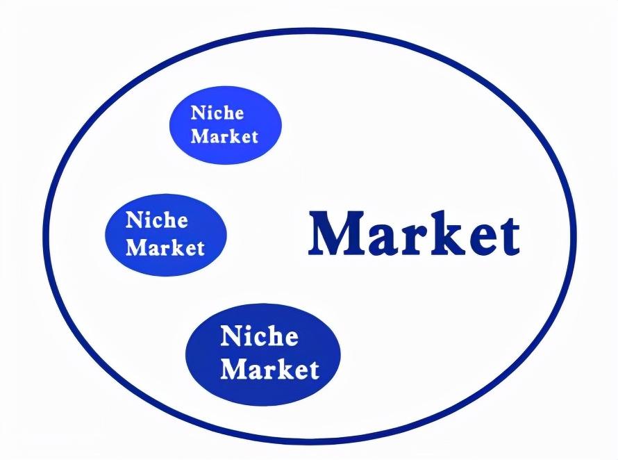 利基市场是什么意思？利基市场和大众市场的区别解析