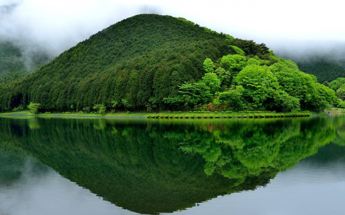 外贸公司注册流程及条件（跨境电商平台注册开店流程）