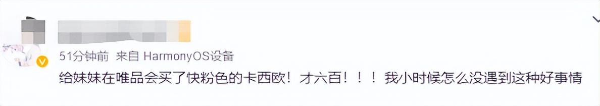 唯品会网官方旗舰店（电商十大靠谱平台排行榜）