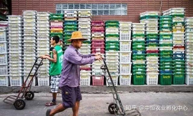 农产品供应链模式有哪些？农产品供应链方案模板大全