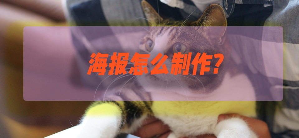 海报是什么意思？店铺宣传海报制作详细教程