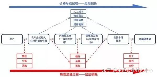 农产品供应链模式有哪些？农产品供应链方案模板大全