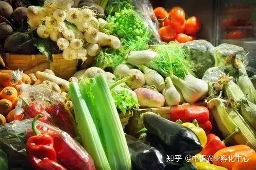农产品供应链模式有哪些？农产品供应链方案模板大全