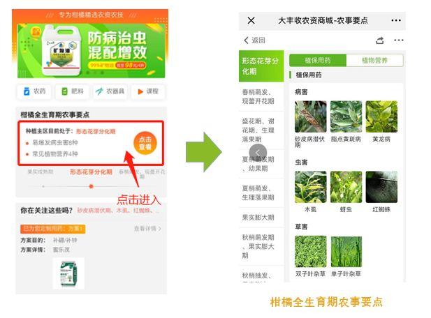 大丰收农资商城app（大丰收农资账号官网简介）