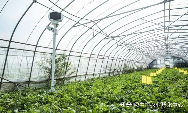 农产品供应链模式有哪些？农产品供应链方案模板大全