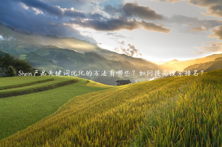 Shein产品关键词优化的方法有哪些？如何提高搜索排名？