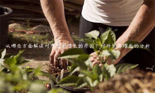 从哪些方面解读对外贸易增长的原因？对外贸易增长的分析