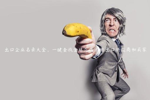 出口企业名录大全，一键查找全球范围内的出口供应商和买家