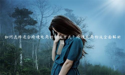 如何选择适合跨境电商的物流方式？跨境电商物流全面解析