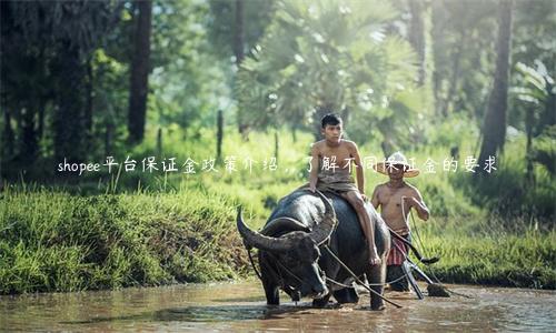 shopee平台保证金政策介绍，了解不同保证金的要求