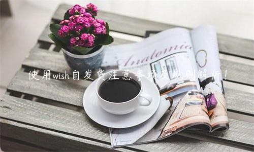 使用wish自发货注意事项及规则解析！
