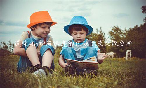 选择wish物流速递的优缺点及比较分析