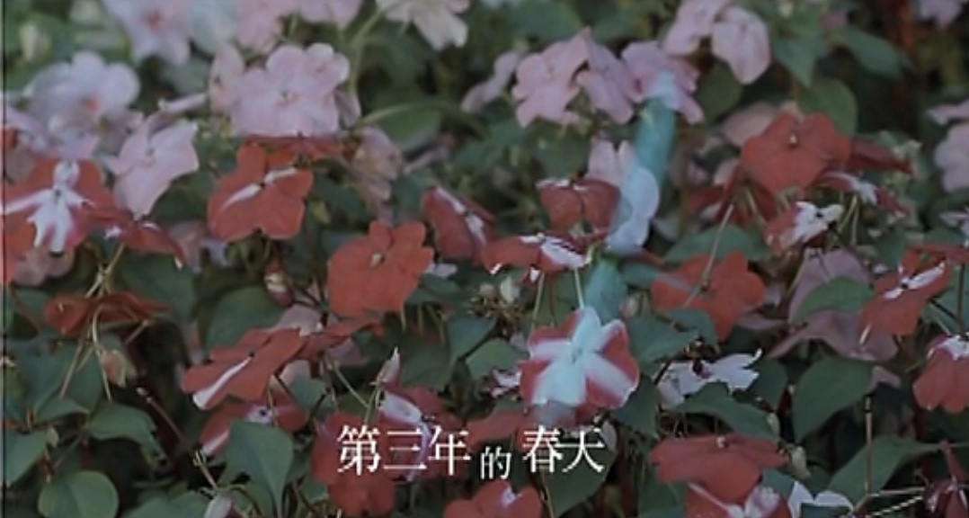 《还剩下些什么》歌词表达了什么意思？《还剩下些什么》创作背景详解