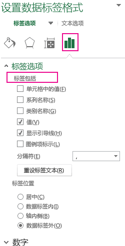 标签选项是“设置数据标签格式”窗格的一部分