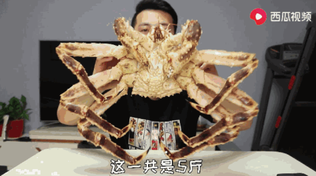 韩小浪开新号了吗？韩小浪试吃美食视频分享