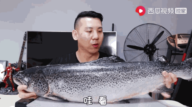 韩小浪开新号了吗？韩小浪试吃美食视频分享