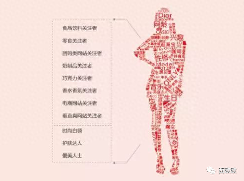 什么是用户画像，如何构建用户画像