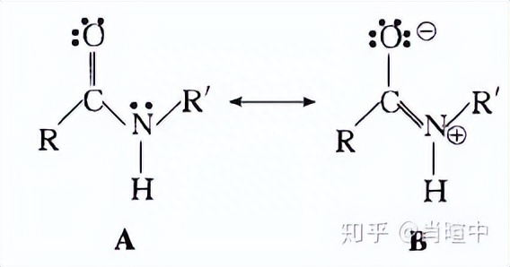 有机化学种共振式是什么意思？详解共振式书写规则