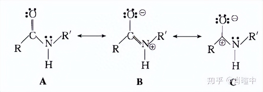 有机化学种共振式是什么意思？详解共振式书写规则