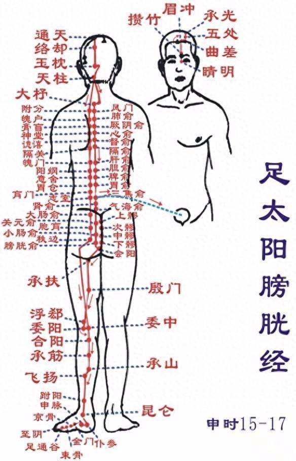 推背能消除富贵包吗？做背的好处和功效介绍