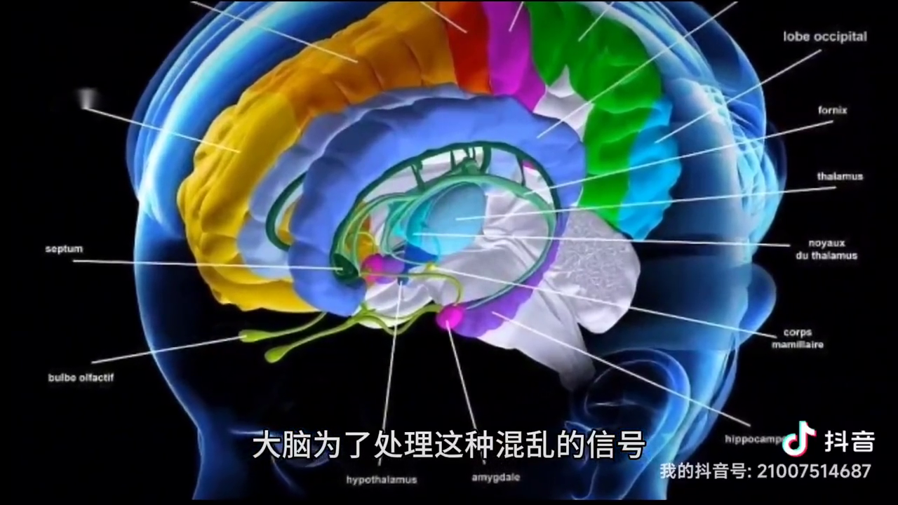 晕轮效应是什么意思？常见晕轮效应举例